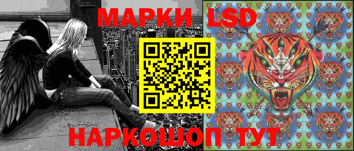 Прохладный  Марки NBOMe 1500мкг  Вход с VPN  Марки NBOMe 1500мкг 