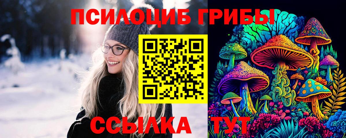 Галлюциногенные грибы Psilocybine cubensis Прохладный
