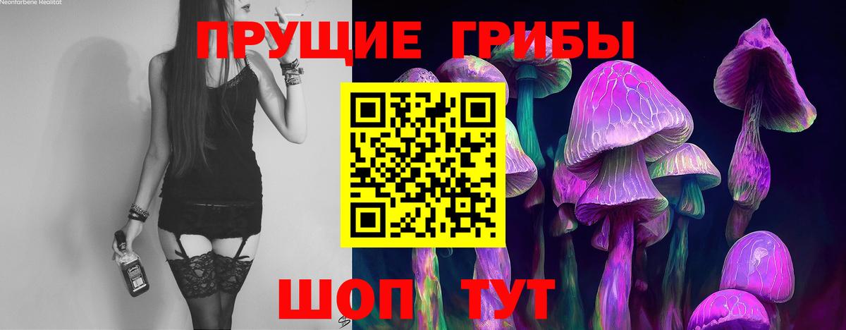 Галлюциногенные грибы GOLDEN TEACHER  Вход с VPN  Прохладный  Псилоцибиновые грибы GOLDEN TEACHER 