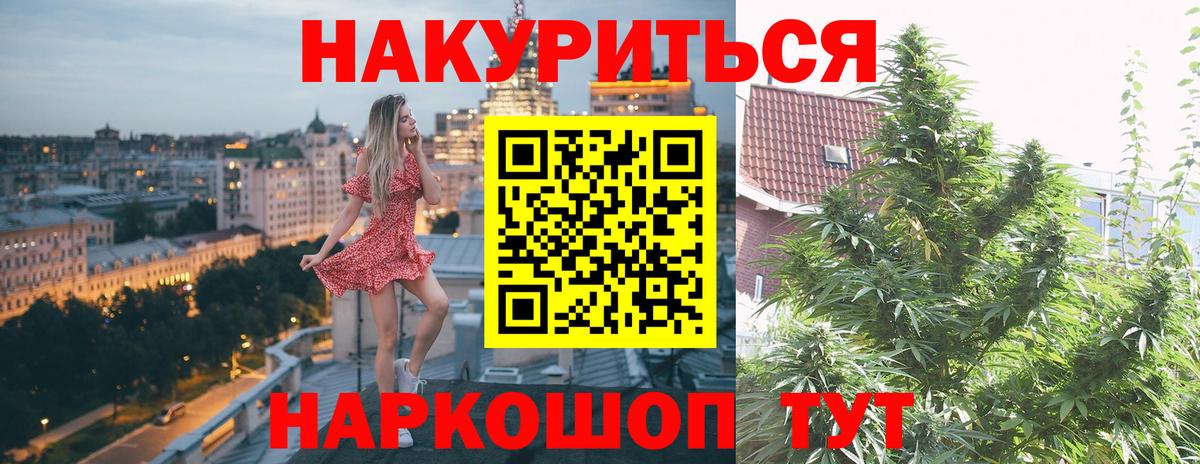 Конопля гибрид  Вход с VPN  Канабис LSD WEED  Бошки марихуана LSD WEED  Прохладный 